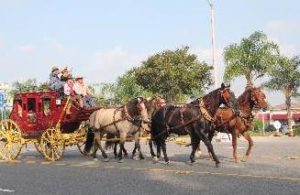 Horses pulling a carriage